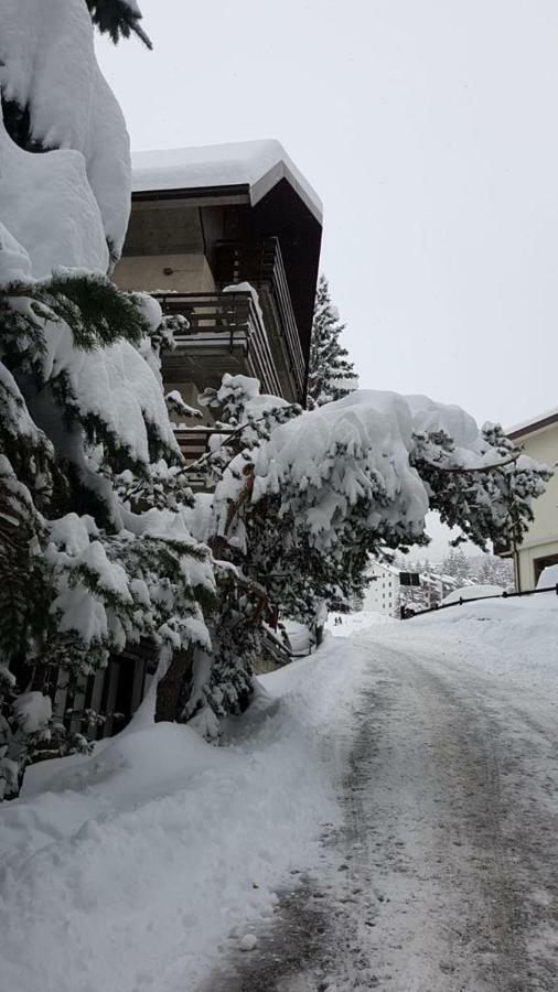 The Closest Location To The City Center And Chairlift Sauze D'Oulx Luaran gambar
